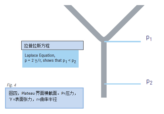 圖四，Plateau界面橫截面